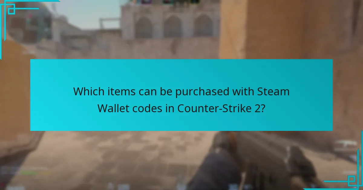 Which items can be purchased with Steam Wallet codes in Counter-Strike 2?
